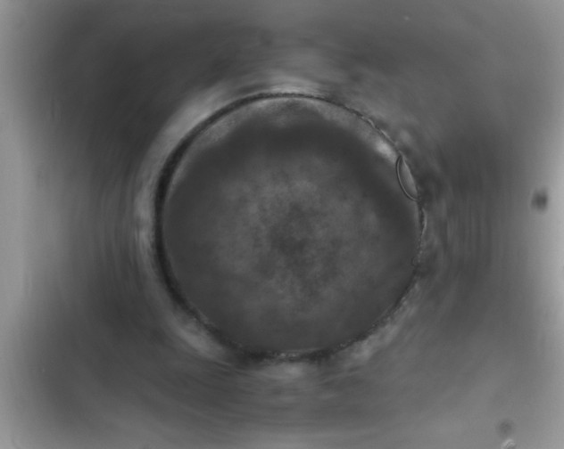 X0000102390247200808151927