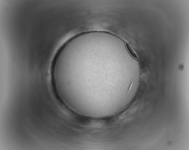 X0000102390248200808151927