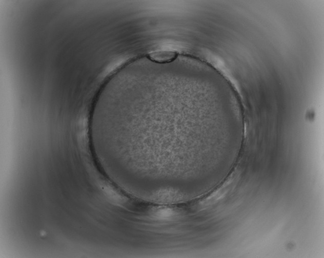 X0000102390249200808151927