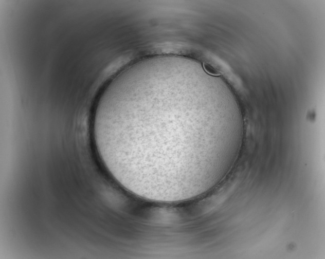 X0000102390250200808151927