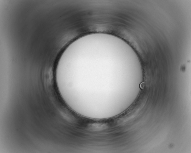 X0000102390251200808151927