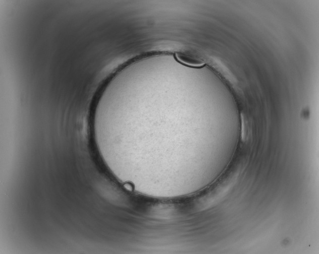 X0000102390252200808151927