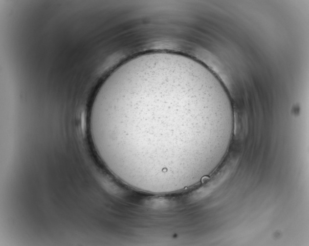 X0000102390253200808151927