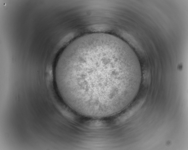 X0000102390254200808151927