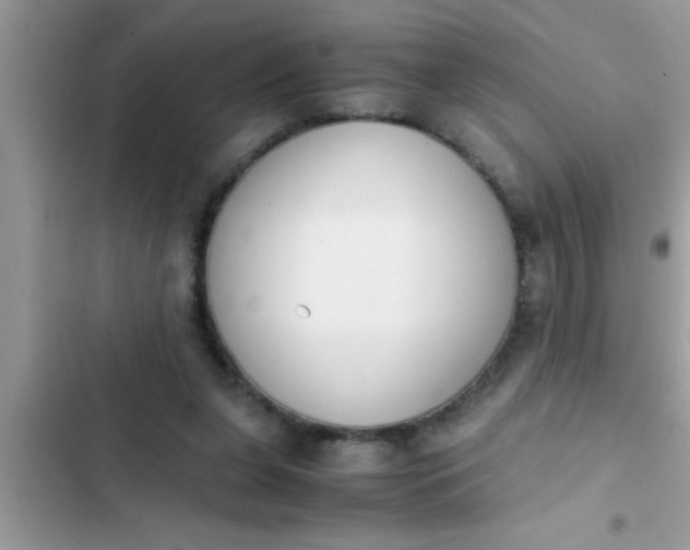 X0000102390255200808151927