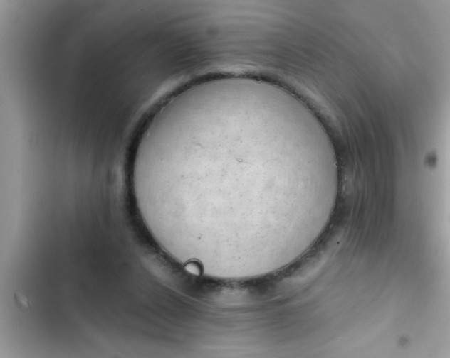 X0000102390256200808151927