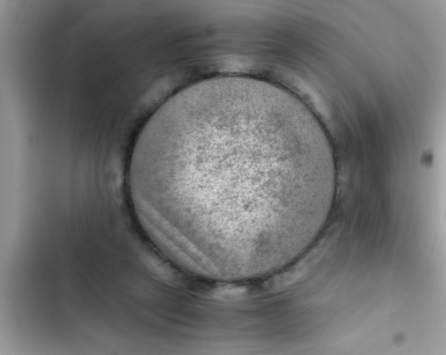 X0000102390257200808151927