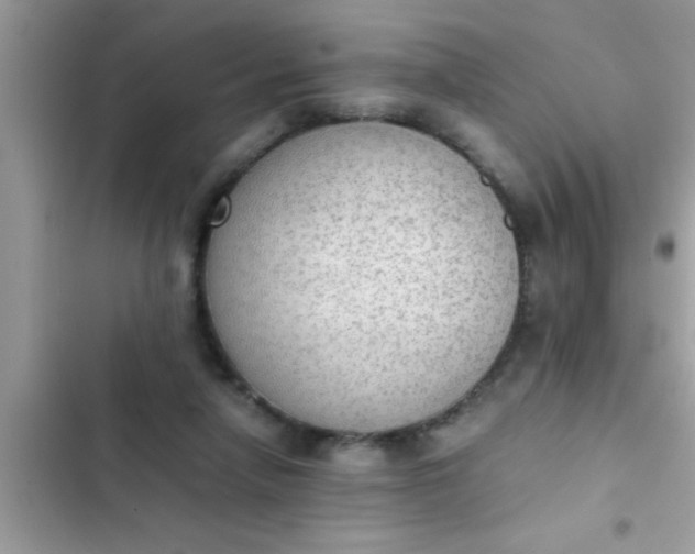 X0000102390258200808151927