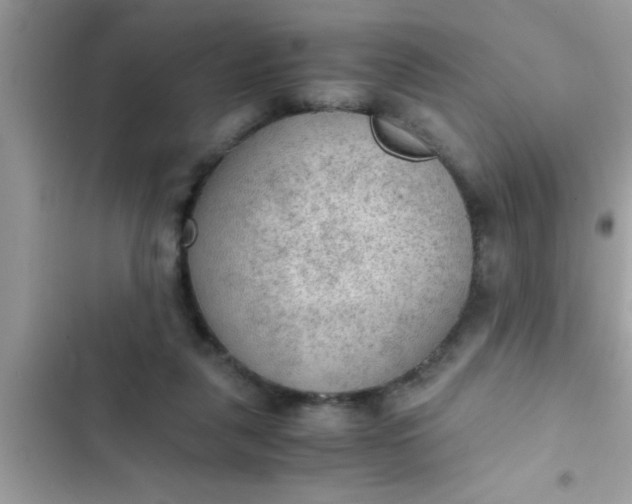 X0000102390259200808151927