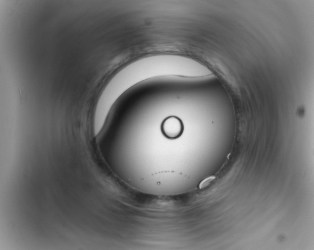 X0000102390260200808151927