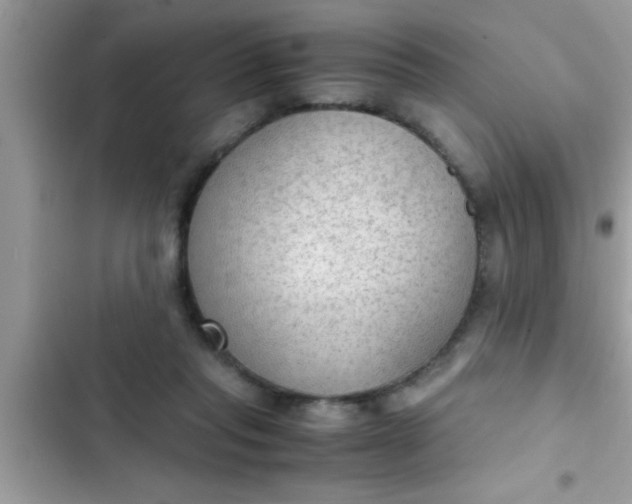 X0000102390261200808151927