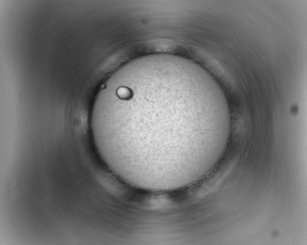 X0000102390262200808151927