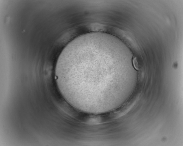 X0000102390263200808151927