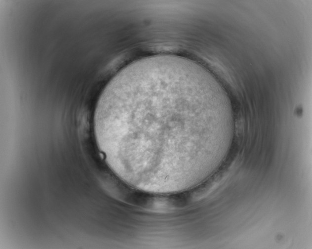 X0000102390264200808151927