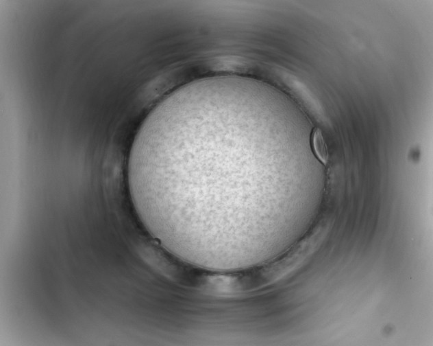 X0000102390265200808151927