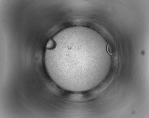 X0000102390266200808151927