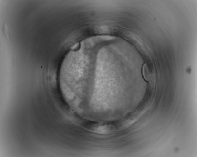 X0000102390267200808151927