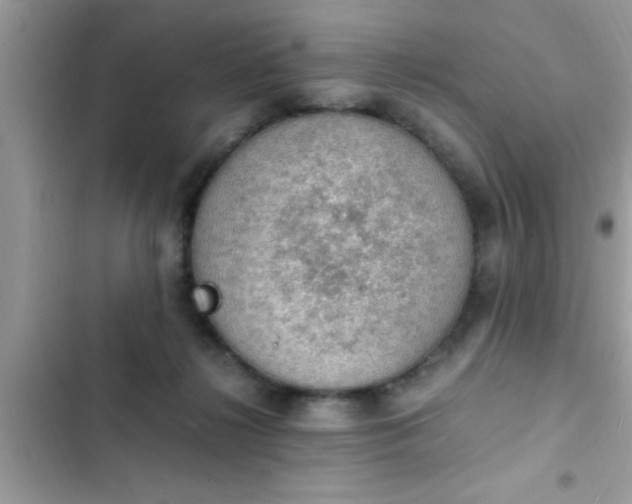 X0000102390268200808151927