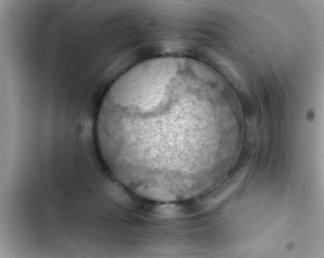 X0000102390269200808151927