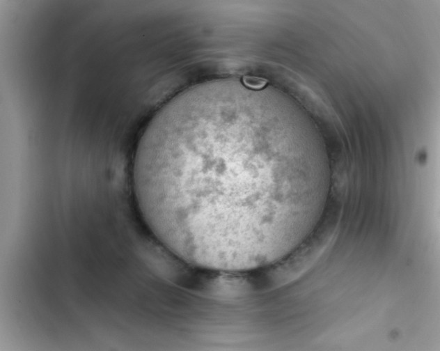 X0000102390270200808151927