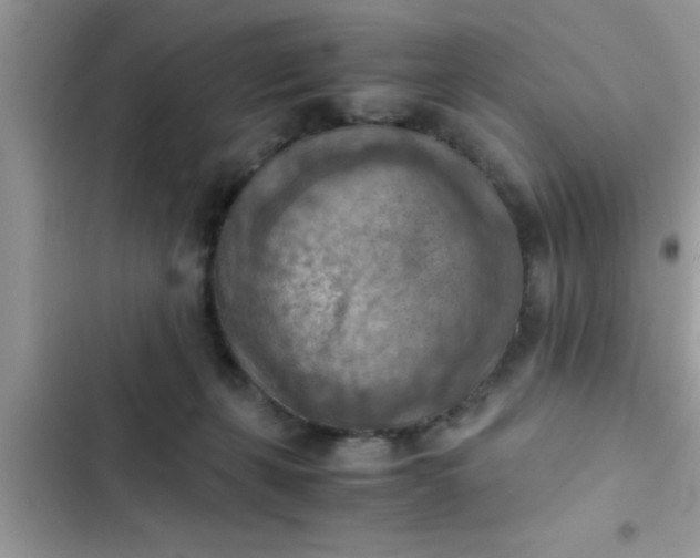 X0000102390271200808151927