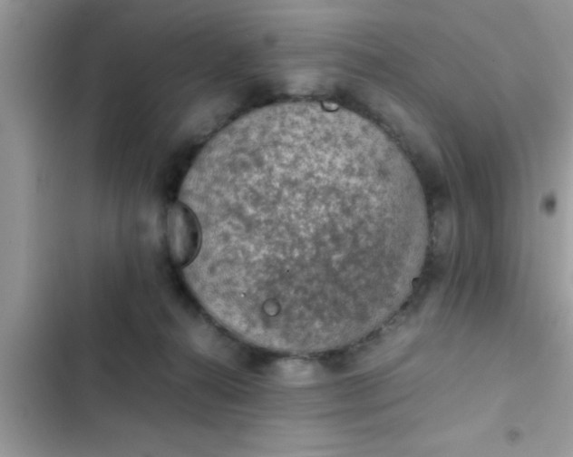 X0000102390272200808151927