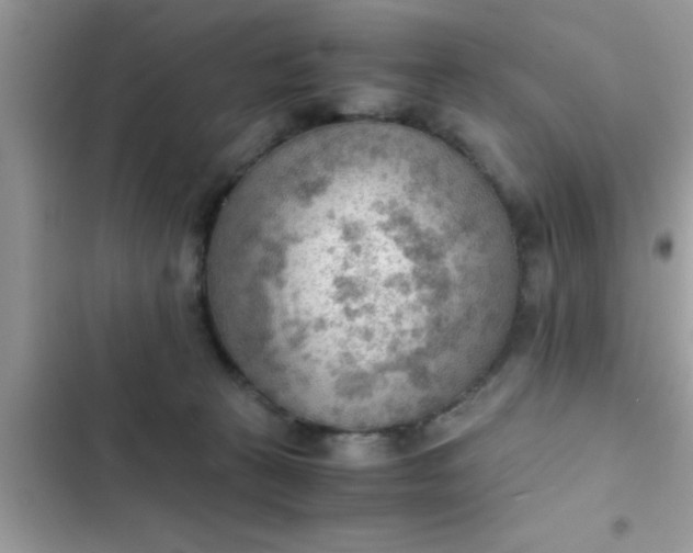 X0000102390273200808151927