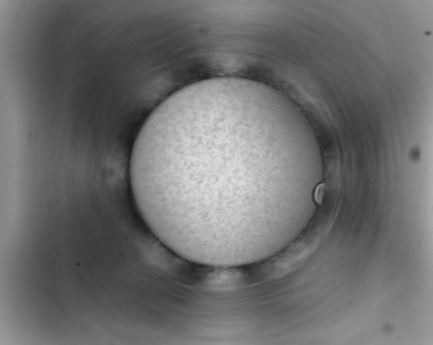 X0000102390274200808151927