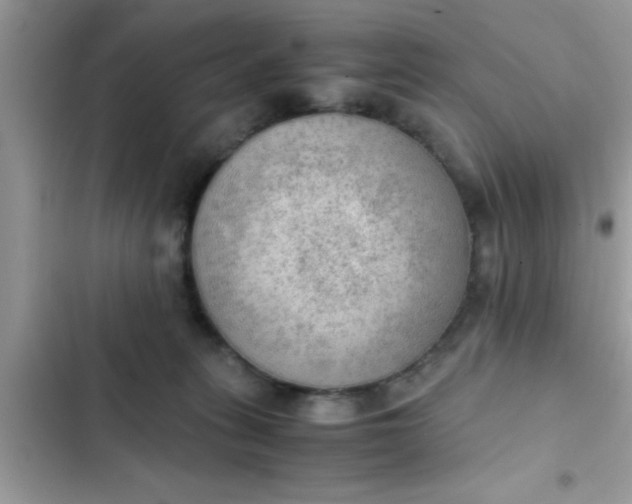 X0000102390275200808151927