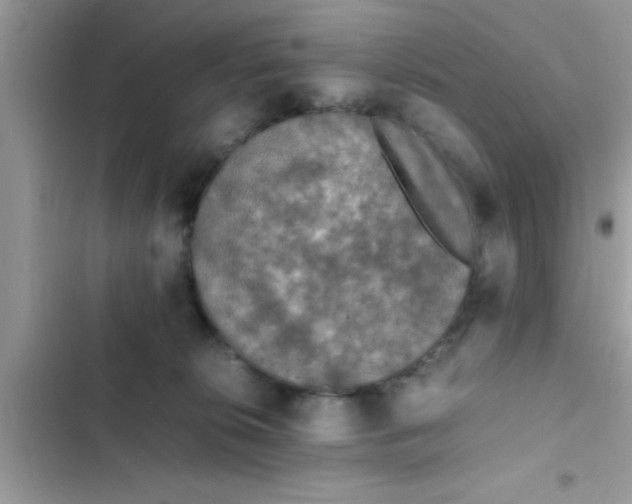 X0000102390276200808151927