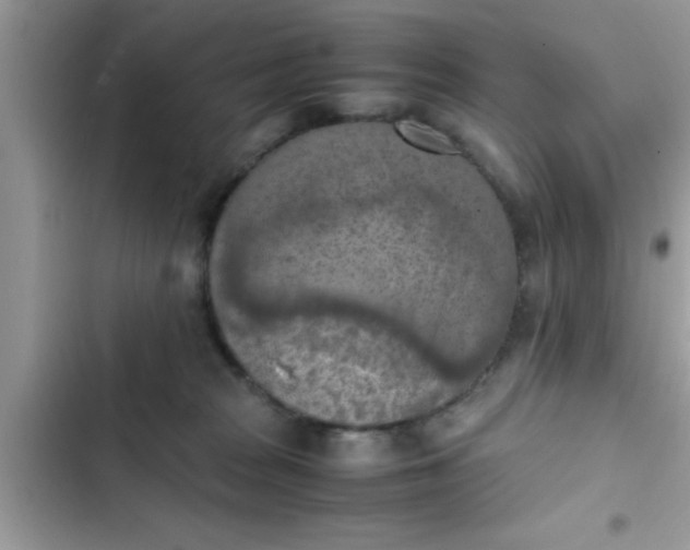 X0000102390277200808151928