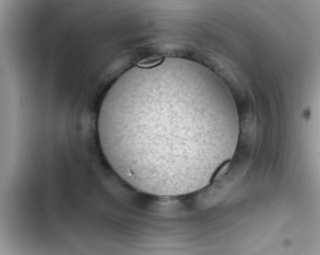 X0000102390278200808151928