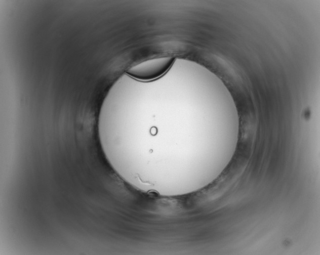 X0000102390279200808151928