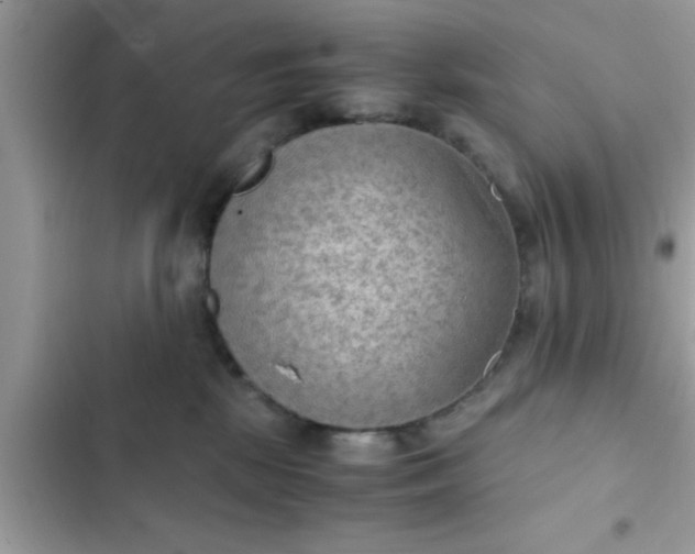 X0000102390281200808151928