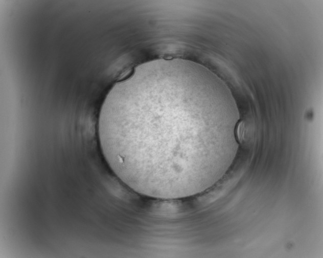 X0000102390282200808151928