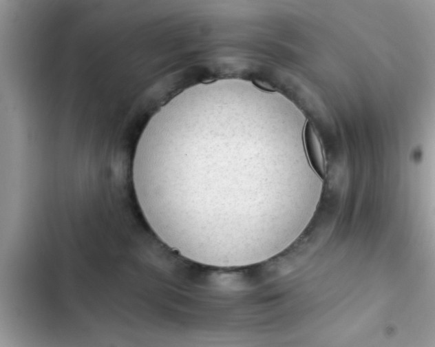 X0000102390283200808151928