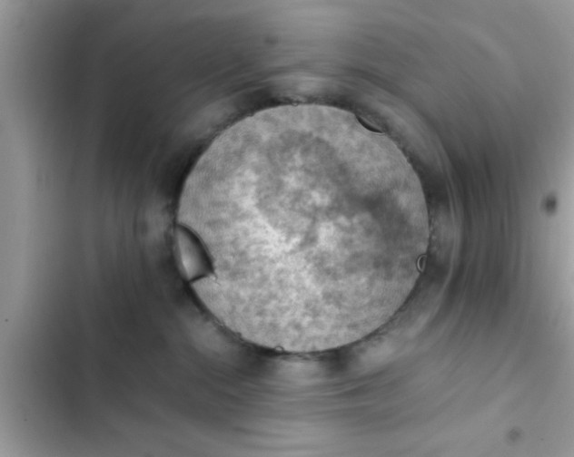 X0000102390284200808151928