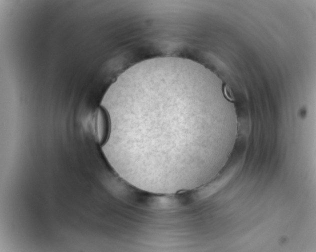 X0000102390286200808151928