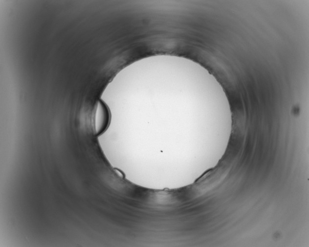 X0000102390287200808151928