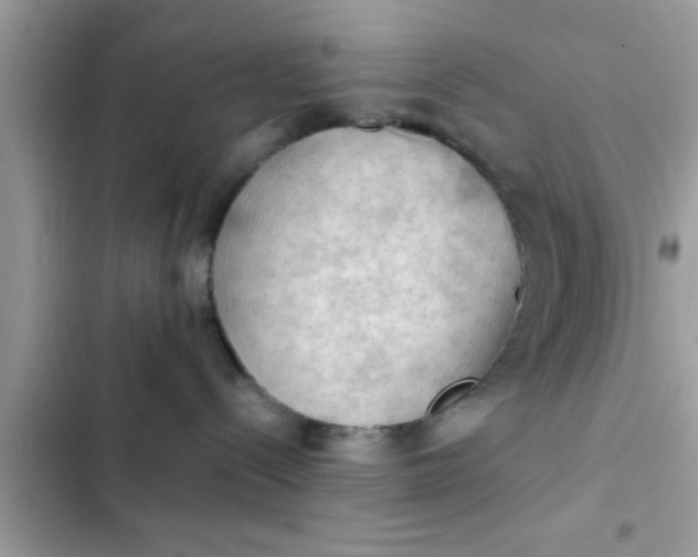 X0000102390288200808151928