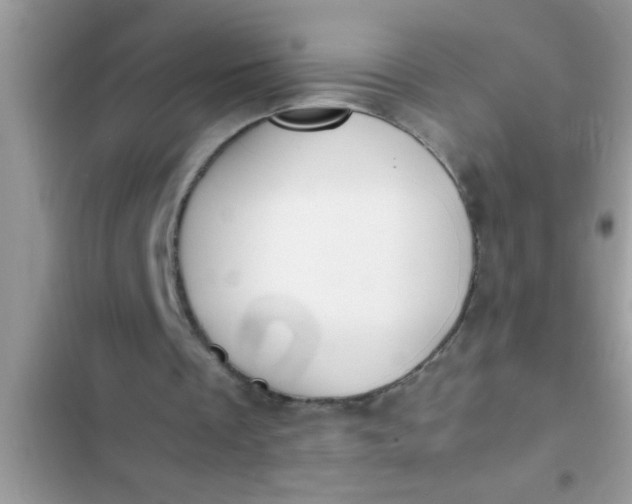 X0000102390289200808151927