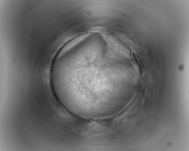 X0000102390290200808151927