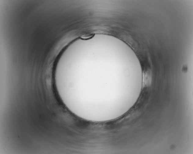 X0000102390291200808151927