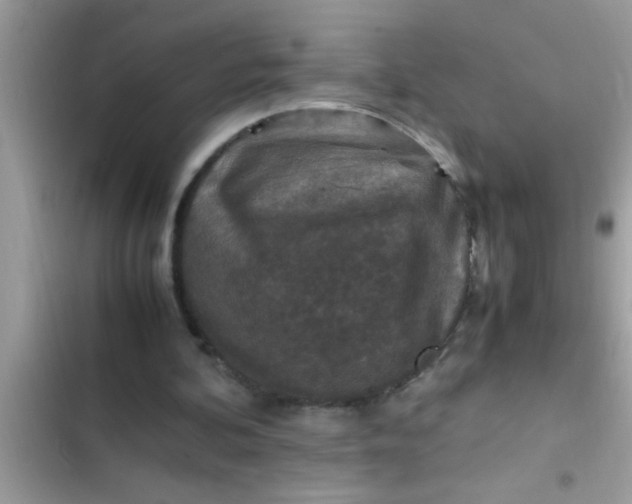 X0000102390292200808151927