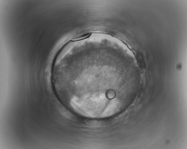 X0000102390293200808151927