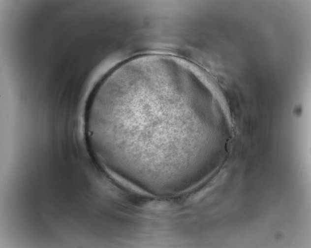 X0000102390294200808151927