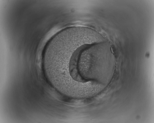 X0000102390295200808151927