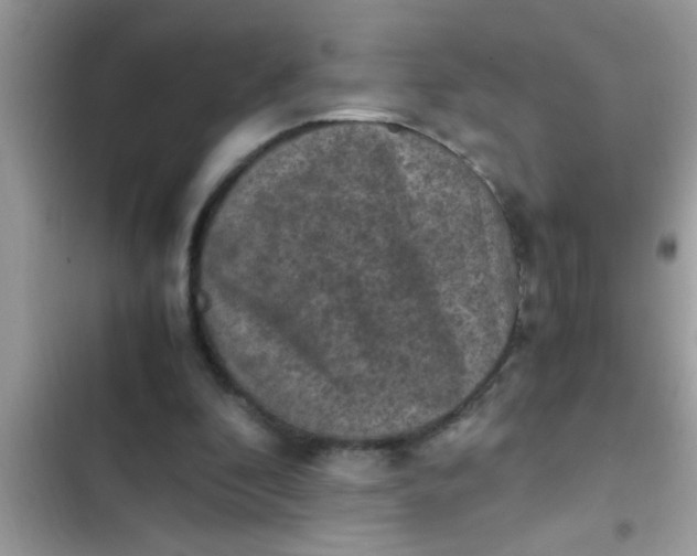 X0000102390296200808151927