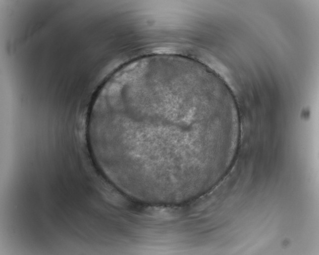 X0000102390297200808151927