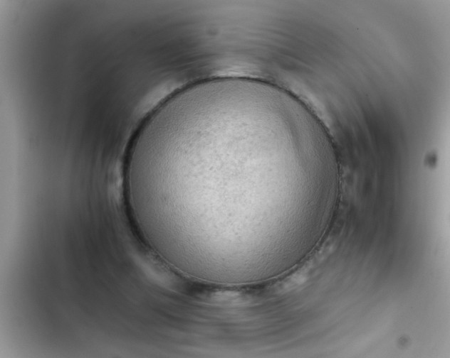 X0000102390298200808151927